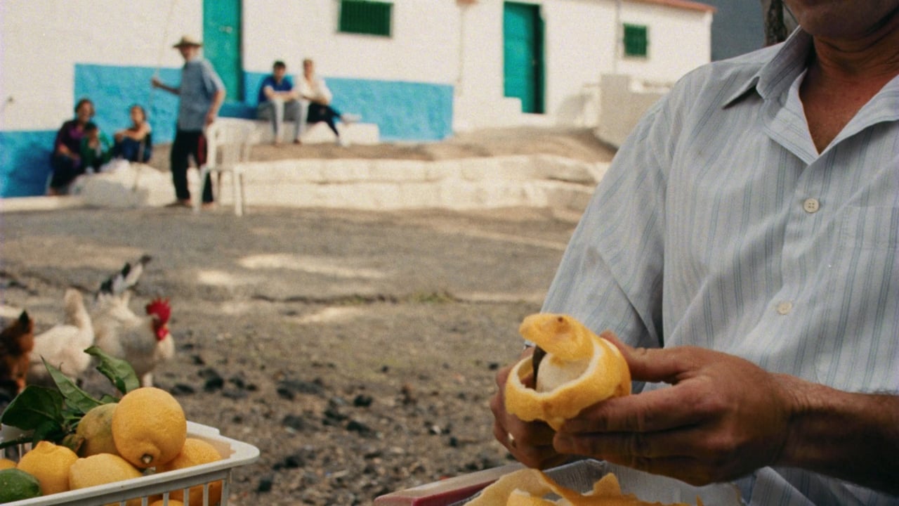 Expedia | Lemons